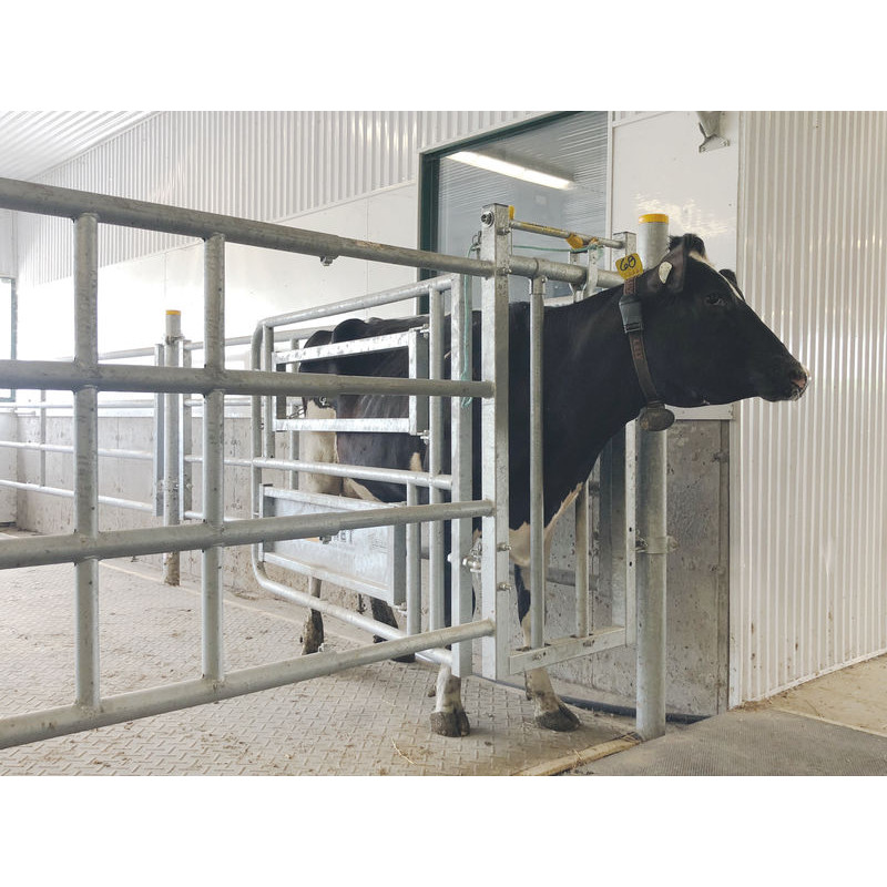 Stall headlock panel Stall headlock panel