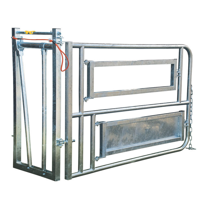 Caesarean and insemination stall Caesarean and insemination stall