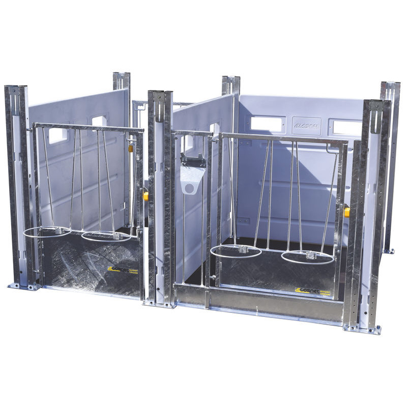 HYGIENE PRO LM calf pen with movable PE partitions