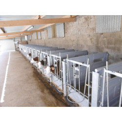 Partition for Hygiene Plus calf pen