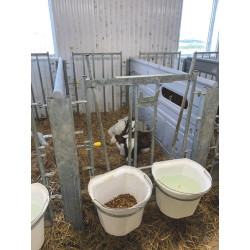 Front for calf pen