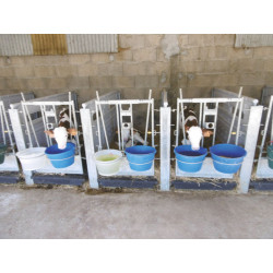 Front for calf pen