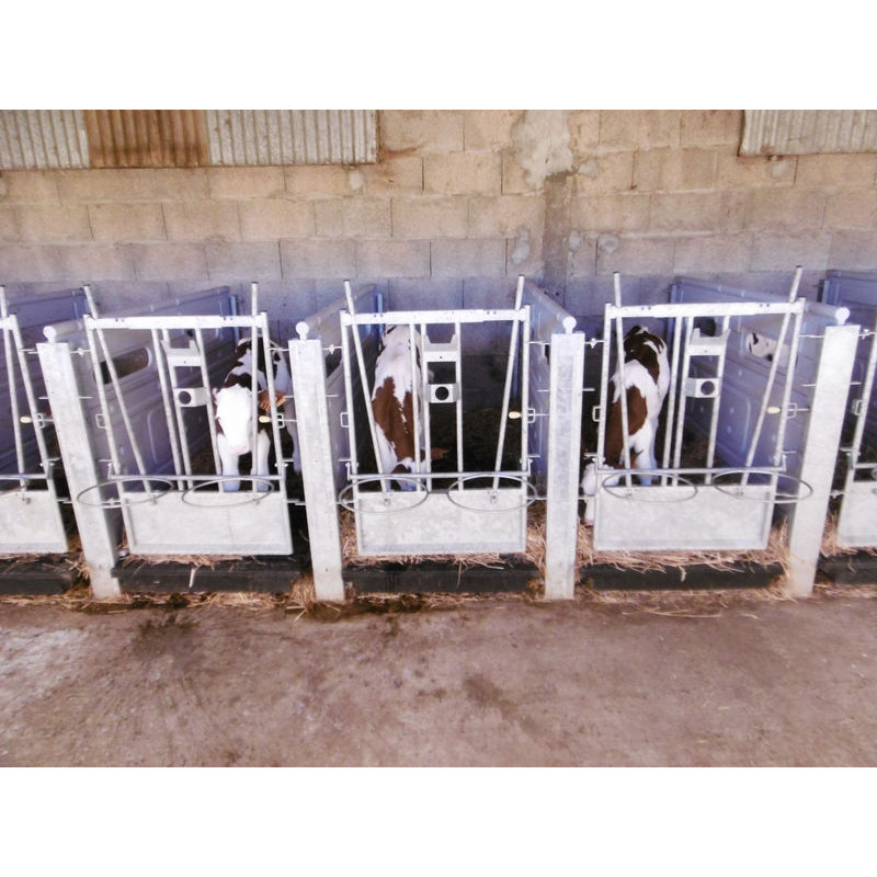 Front for calf pen