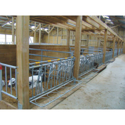 5 places/2.5 m JUNIOR COMFORT SR calf headlock panel without bucket holder