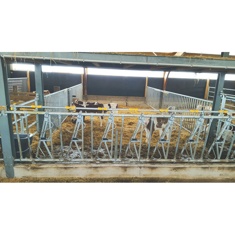 6 places/3 m JUNIOR COMFORT SR calf headlock panel without bucket holder 6 places/3 m JUNIOR COMFORT SR calf headlock panel without bucket holder