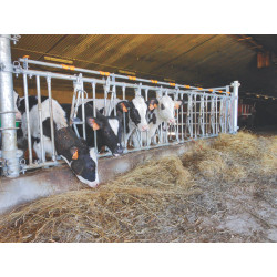 10 places/5 m JUNIOR COMFORT SR calf headlock panel without bucket holder 10 places/5 m JUNIOR COMFORT SR calf headlock panel without bucket holder