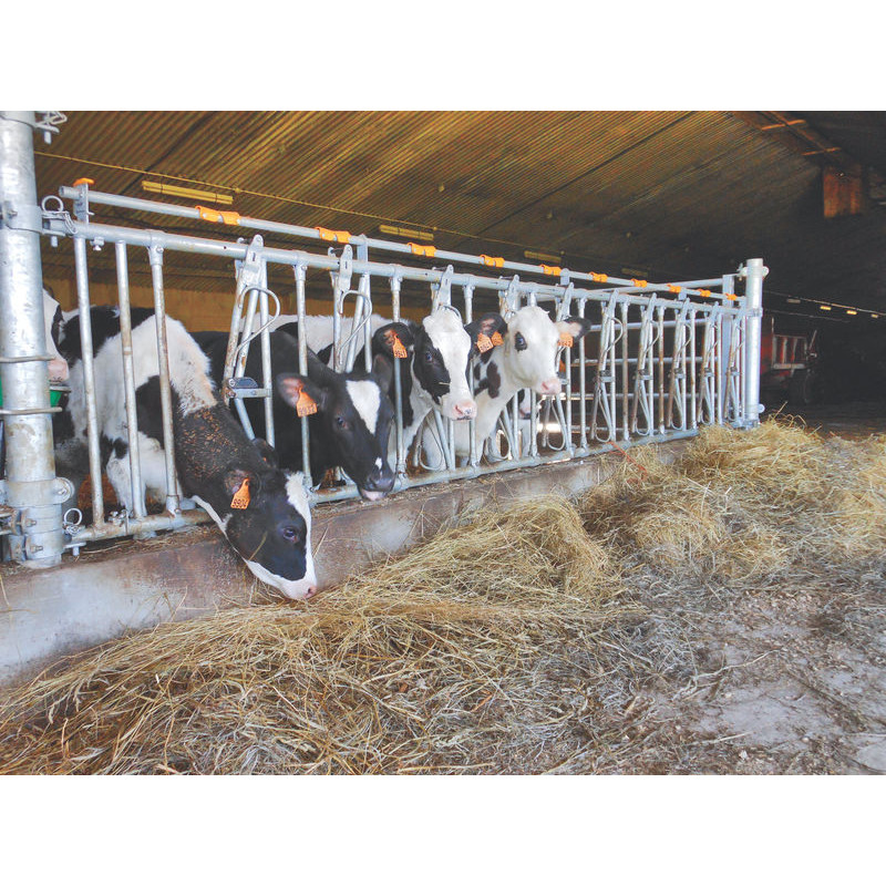 10 places/5 m JUNIOR COMFORT SR calf headlock panel without bucket holder 10 places/5 m JUNIOR COMFORT SR calf headlock panel without bucket holder