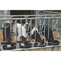 5 buckets/2,5 m Bucket holder with integrated PE feed trough