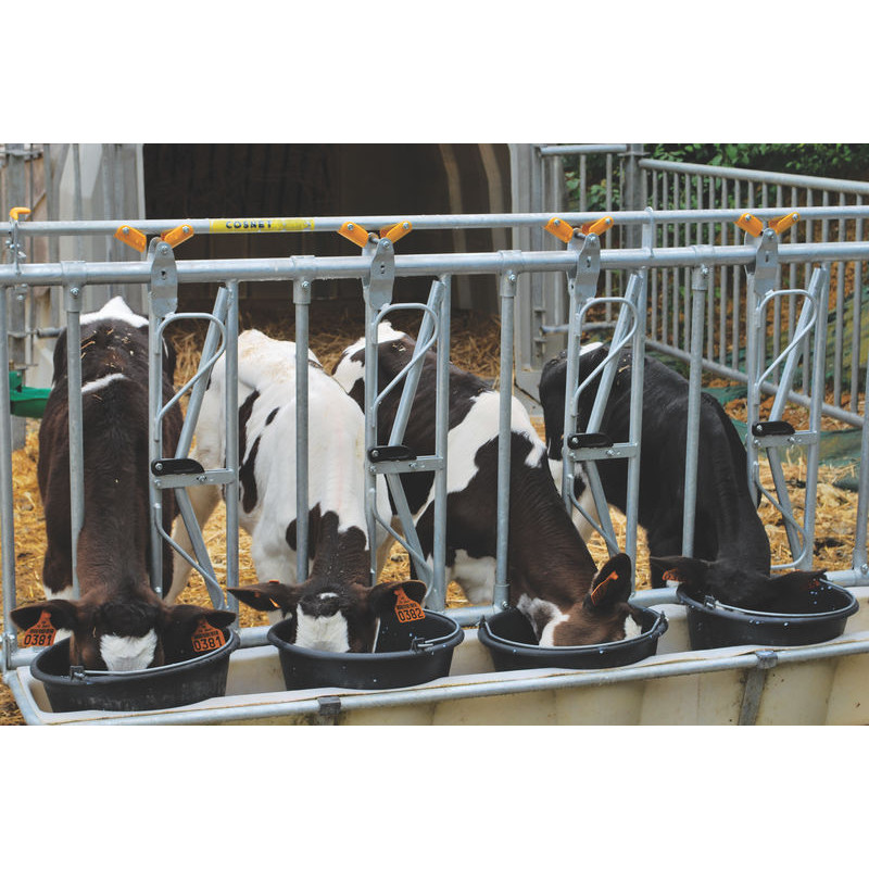 5 buckets/2,5 m Bucket holder with integrated PE feed trough