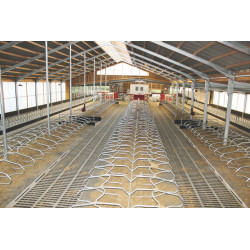 Single foot on cubicle divider on a mounting plate for adult cows