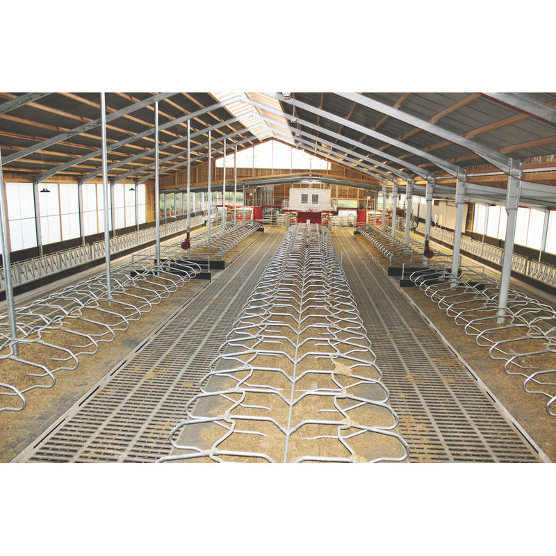 Single foot on cubicle divider on a mounting plate for adult cows