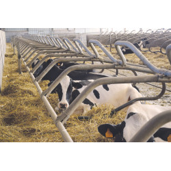 Ø 49 mm curved wither bar for cubicles