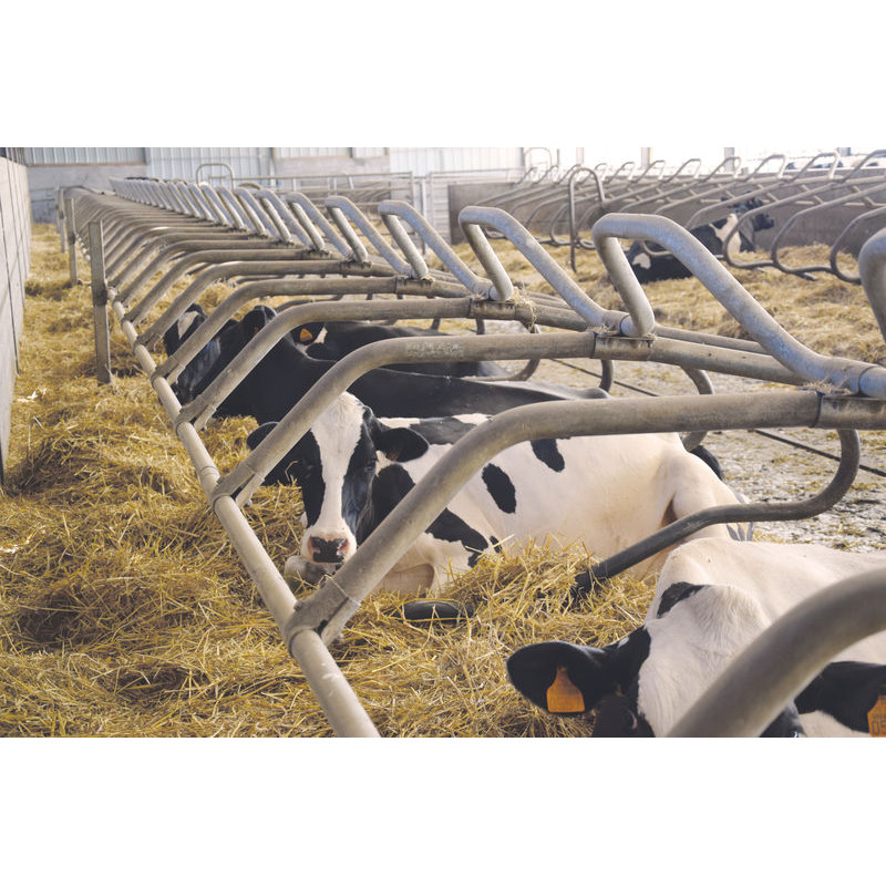 Ø 49 mm curved wither bar for cubicles