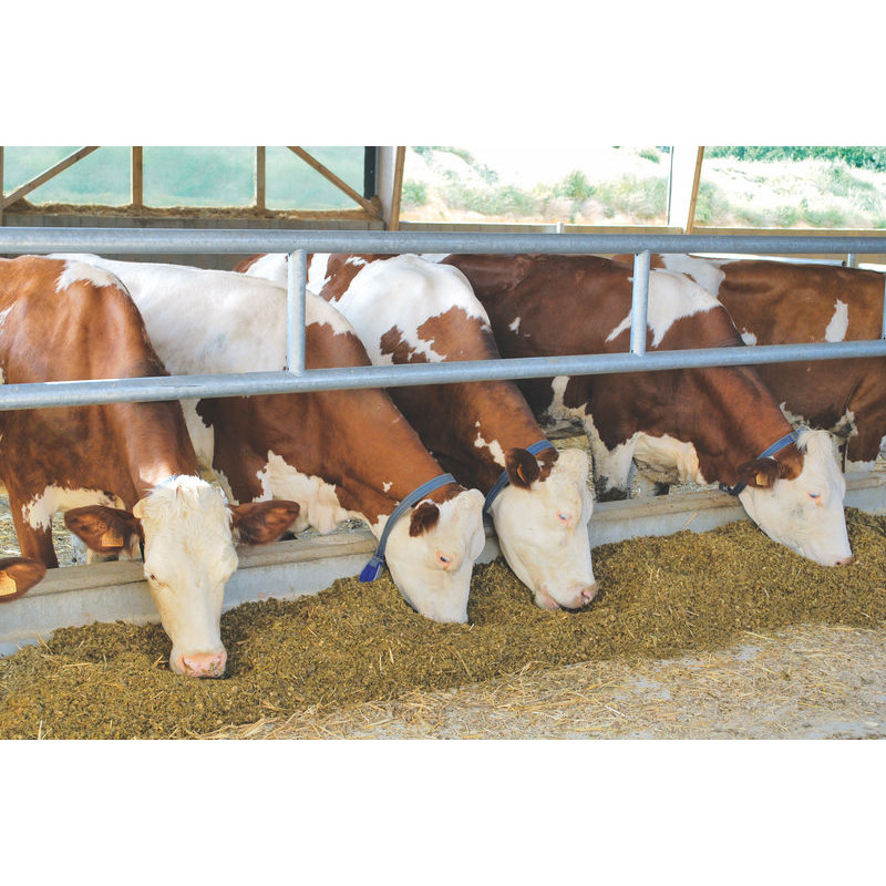 2-rail (Ø 76 mm) feed panel - 4 m 2-rail (Ø 76 mm) feed panel - 4 m