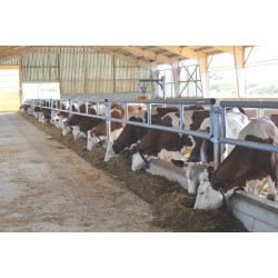 2-rail (Ø 76 mm) feed panel - 4 m 2-rail (Ø 76 mm) feed panel - 4 m