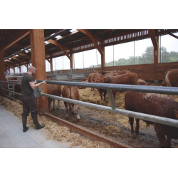 2-rail (Ø 88 mm) feed panel - 6 m 2-rail (Ø 88 mm) feed panel - 6 m
