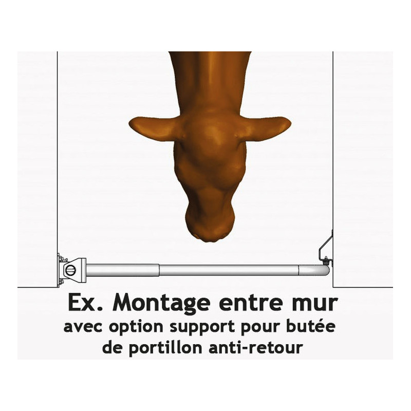 Extendable 2-rails anti-backing gate for animal opening or corridor
