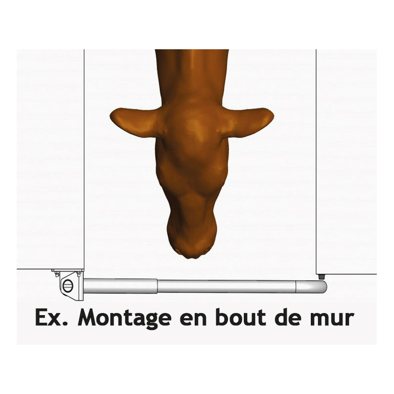 Extendable 2-rails anti-backing gate for animal opening or corridor