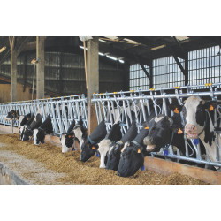 Comfort SR headlock panel - 5 m/7 spaces