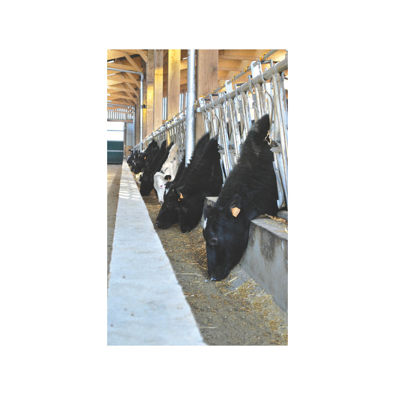 Comfort SR headlock panel - 5 m/7 spaces