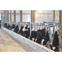 Comfort SR headlock panel - 5.40 m/8 spaces Comfort SR headlock panel - 5.40 m/8 spaces