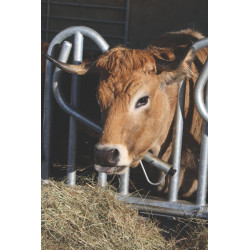 Swedish PRO yoke panel - 4 m/5 spaces