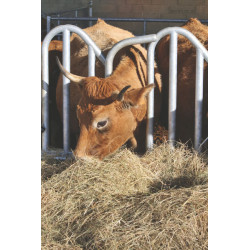 Swedish PRO yoke panel - 4 m/5 spaces