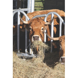 Swedish PRO yoke panel - 4 m/5 spaces