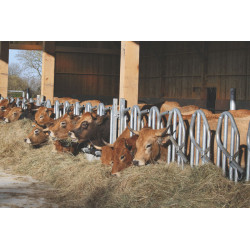 Swedish PRO yoke panel - 5 m/6 spaces Swedish PRO yoke panel - 5 m/6 spaces