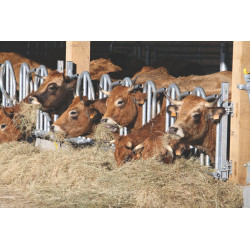 Swedish PRO yoke panel - 5 m/7 spaces Swedish PRO yoke panel - 5 m/7 spaces