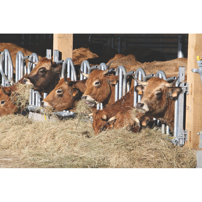 Swedish PRO yoke panel - 5 m/7 spaces Swedish PRO yoke panel - 5 m/7 spaces