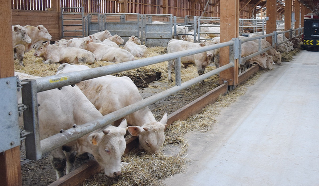 Discover our feed panels range